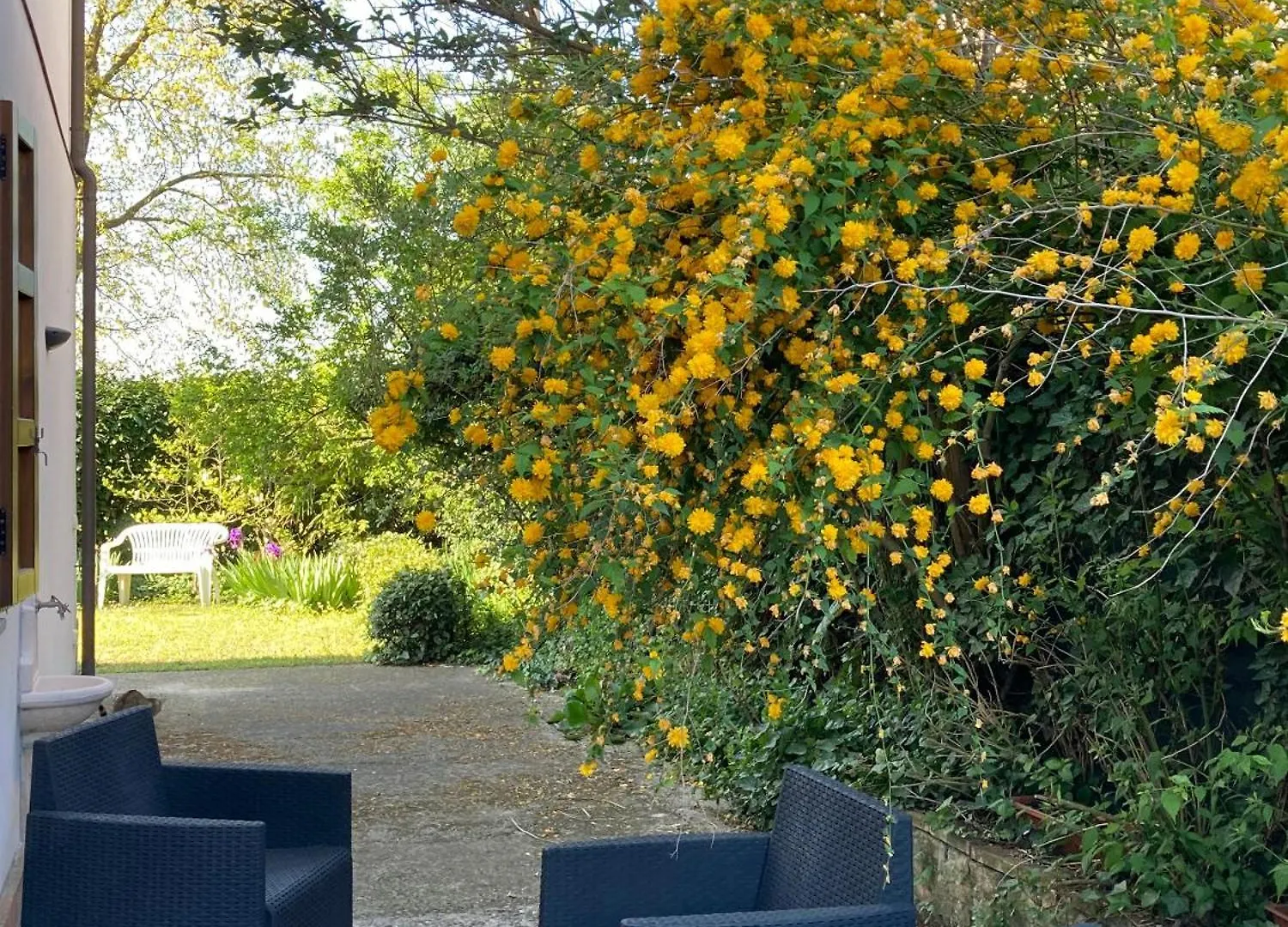 Appartamento I gatti e la Volpe B&B Budrio  Italia